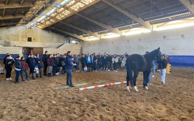 Les formations Young Breeders SF sont lancées !