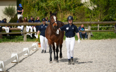 Championnat de France Young Breeders 2025 : une jeunesse en route vers l’excellence.